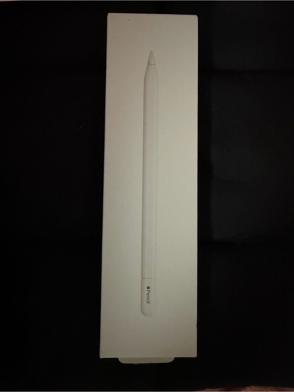 Apple Pencil USB-C
